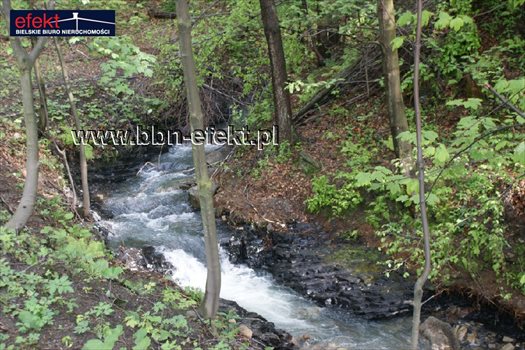 Działka rekreacyjna na sprzedaż Kozy 1 600m2 Foto 6