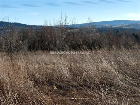 Działka inna na sprzedaż Barwałd Średni 1 900m2 Foto 4