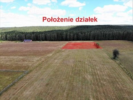 Działka budowlana na sprzedaż Dąbrówka Wielka 1 029m2 Foto 11
