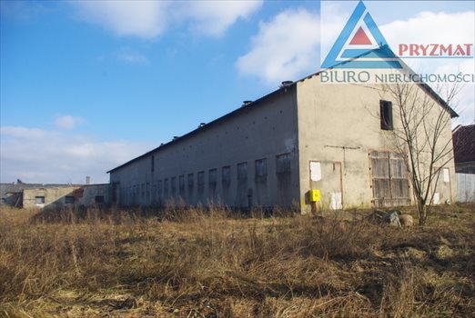 Lokal użytkowy na wynajem Dągi 800m2 Foto 7