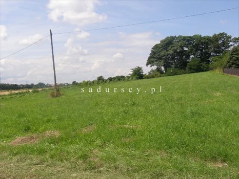 Działka inwestycyjna na sprzedaż Libertów 14 200m2 Foto 3