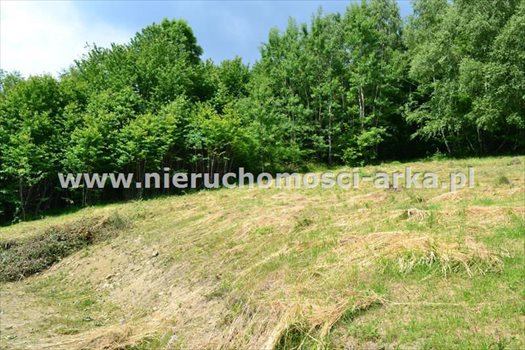 Działka rolna na sprzedaż Pasierbiec 680m2 Foto 4