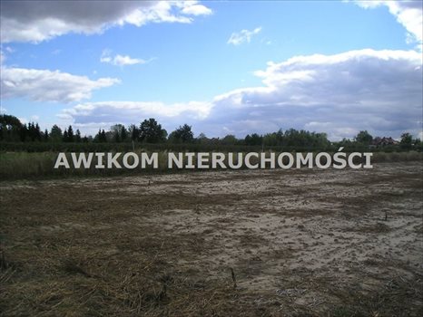 Działka budowlana na sprzedaż Skierniewice, Miedniewice 5 260m2 Foto 1