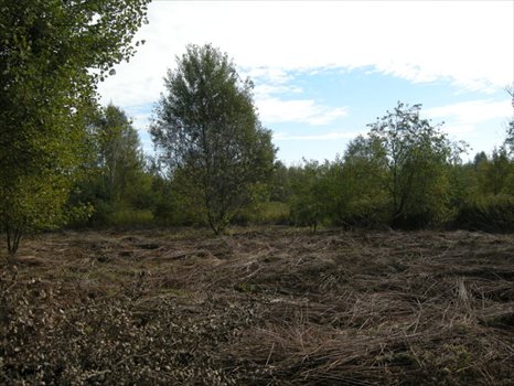 Działka budowlana na sprzedaż Otwock, Jabłonna, Niezapominajki 857m2 Foto 6