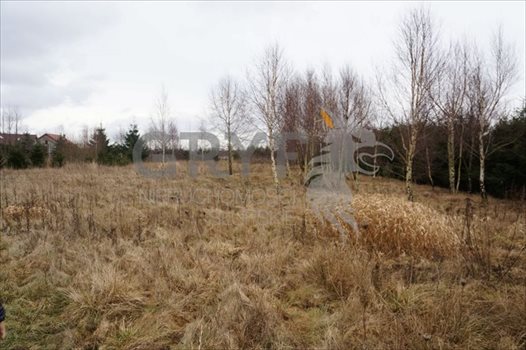 Działka inna na sprzedaż Wielichowo 5 600m2 Foto 3