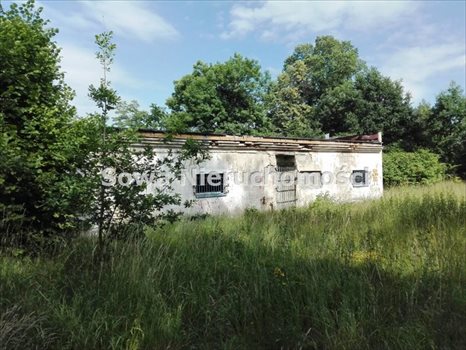 Działka inna na sprzedaż Wałbrzych, Szczawienko 10 184m2 Foto 3