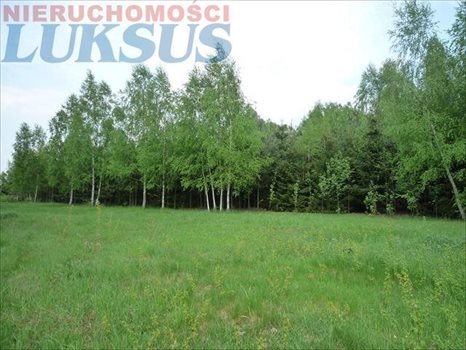 Działka inna na sprzedaż Many 12 200m2 Foto 5