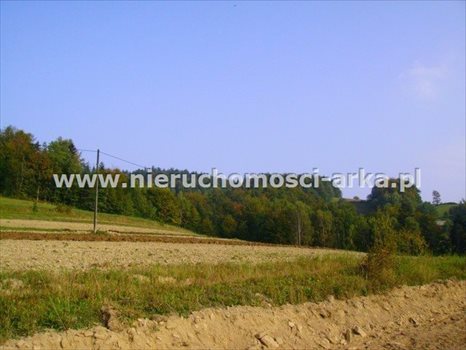 Działka budowlana na sprzedaż Kasinka Mała 2 300m2 Foto 5
