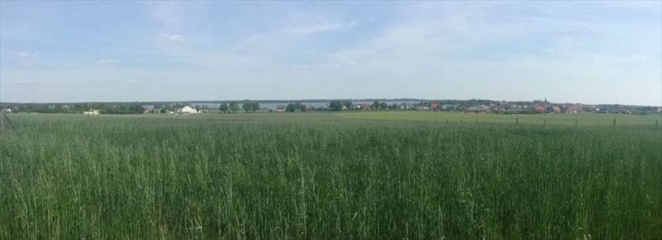Działka budowlana na sprzedaż Powidz 3 700m2 Foto 3