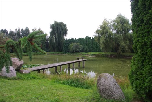 Działka budowlana na sprzedaż Wola Pniewska 6 200m2 Foto 9