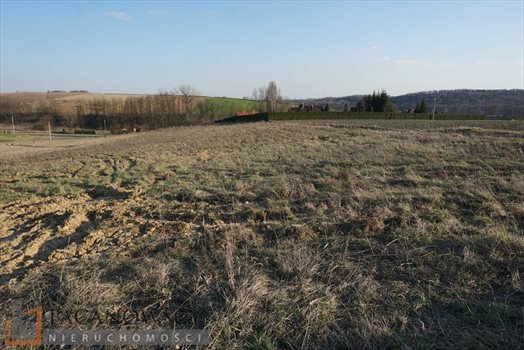 Działka budowlana na sprzedaż Młodziejowice 1 200m2 Foto 5