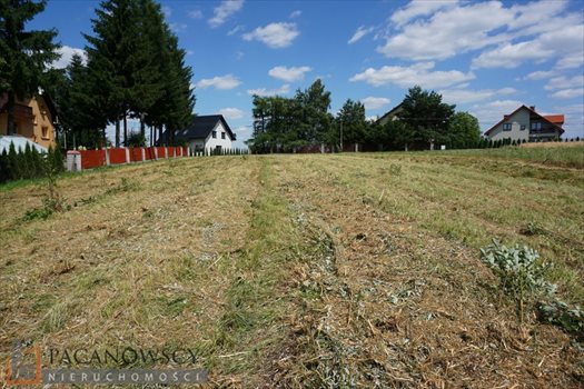 Działka budowlana na sprzedaż Sieborowice 2 600m2 Foto 9