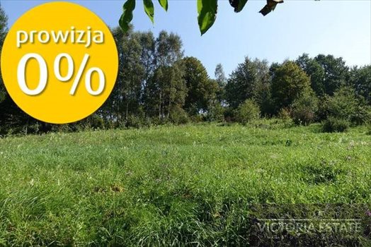 Działka budowlana na sprzedaż Włosań 2 600m2 Foto 3