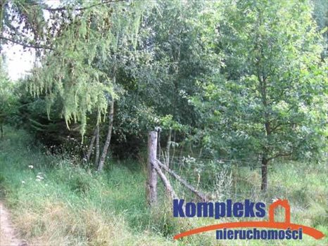 Dom na sprzedaż Zbrojewo 120m2 Foto 6