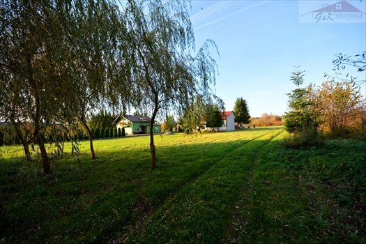 Działka budowlana na sprzedaż Ostrów 2 565m2 Foto 1