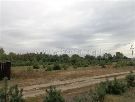 Działka budowlana na sprzedaż Prace Duże 1 445m2 Foto 8
