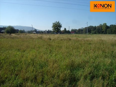 Działka budowlana na sprzedaż Kozy 2 504m2 Foto 3