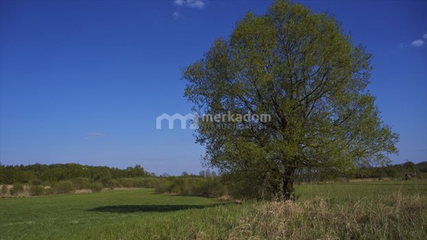 Działka siedliskowa na sprzedaż Potrzanowo 19 400m2 Foto 4