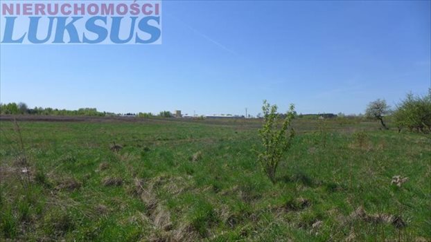 Działka budowlana na sprzedaż Grzędy 1 717m2 Foto 10
