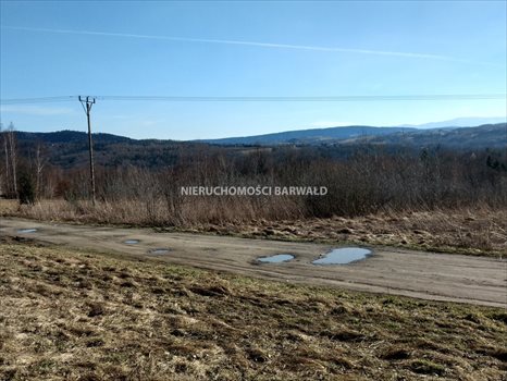Działka inna na sprzedaż Barwałd Średni 2 446m2 Foto 3