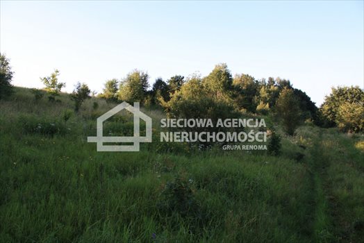 Działka budowlana na sprzedaż Tokary 1 139m2 Foto 3