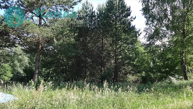 Działka budowlana na sprzedaż Kamień, Jezioro, Las, Tereny rekreacyjne 536m2 Foto 5