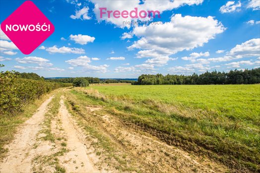 Działka budowlana na sprzedaż Straszydle 10 000m2 Foto 2