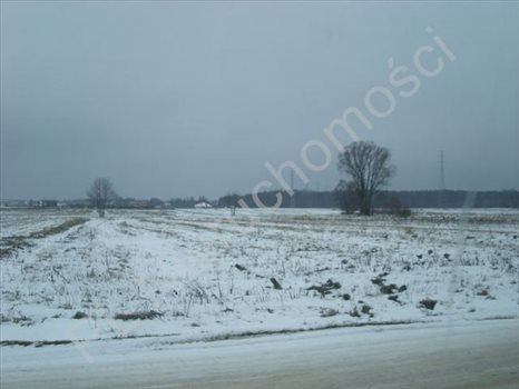 Działka budowlana na sprzedaż Pruszków 1 583m2 Foto 2