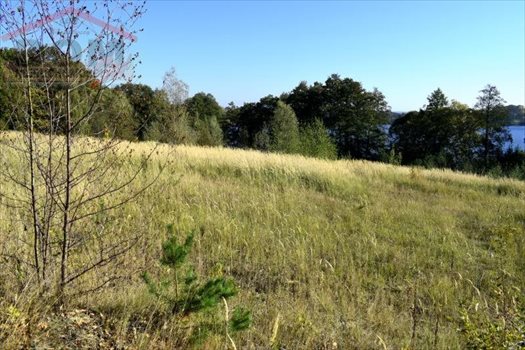 Działka inna na sprzedaż Drawsko Pomorskie, Jezioro, Las, Park, Rzeka, Tereny rekreacyjne, Okrzei 982m2 Foto 12