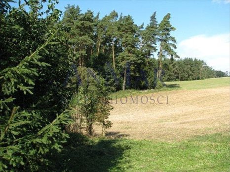 Dom na sprzedaż Ostrowite 170m2 Foto 8