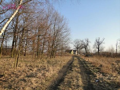 Działka inwestycyjna na sprzedaż Wrocław, Psie-Pole, Pełczyńska 3 000m2 Foto 9