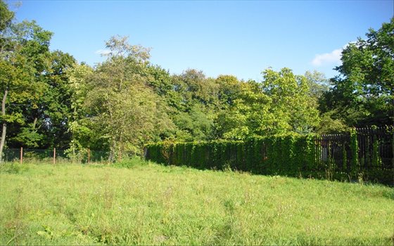 Działka inwestycyjna na sprzedaż Warszawa, Bielany 1 647m2 Foto 3