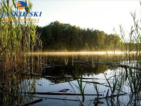 Działka rolna na sprzedaż Kościerzyna 57 810m2 Foto 3