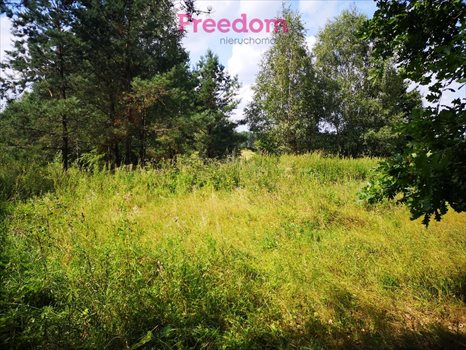 Działka budowlana na sprzedaż Orzechowo 24 300m2 Foto 7