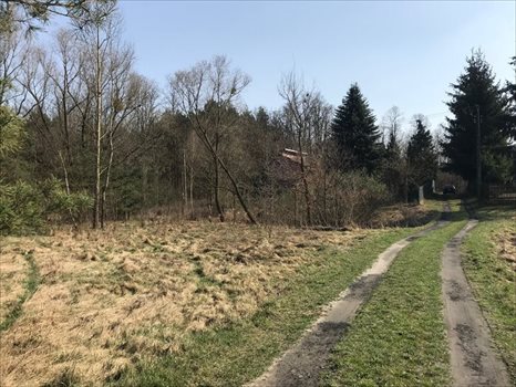 Działka siedliskowa na sprzedaż Stanisławów, Stanisławów 57 4 800m2 Foto 5
