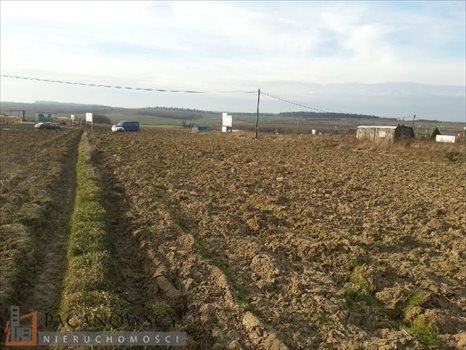 Działka inna na sprzedaż Cianowice Duże 10 700m2 Foto 2