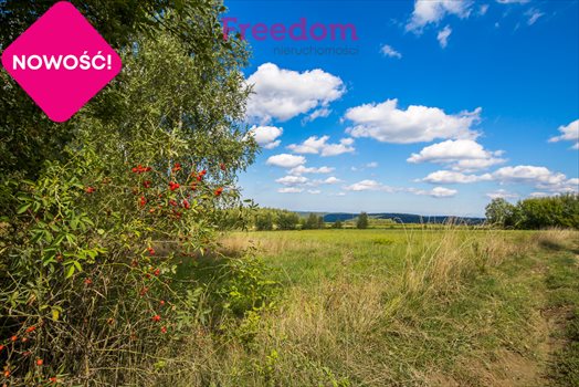 Działka budowlana na sprzedaż Straszydle 10 000m2 Foto 6