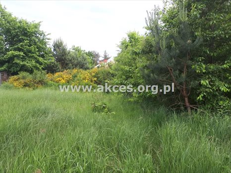 Działka budowlana na sprzedaż Jesówka 1 400m2 Foto 8