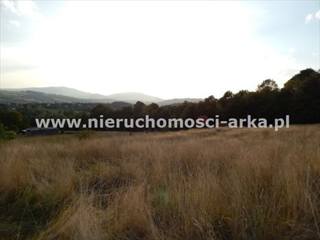 Działka budowlana na sprzedaż Limanowa 2 686m2 Foto 2