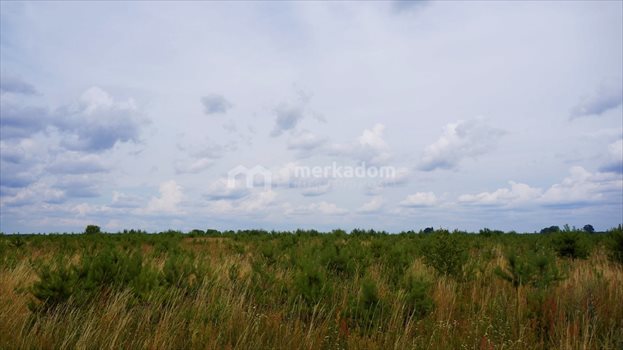Działka rolna na sprzedaż Grzybowo 21 116m2 Foto 4