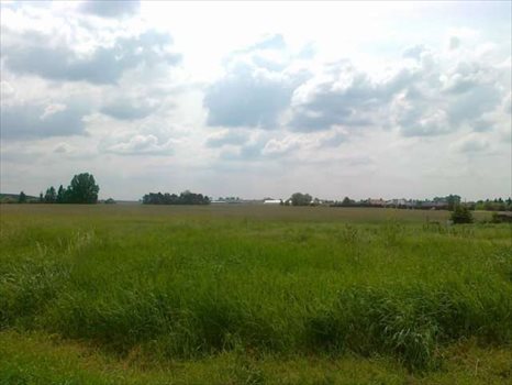 Działka budowlana na sprzedaż Golęczewo, Czeresniowa 1 423m2 Foto 3