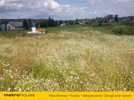 Działka inna na sprzedaż Mierzeszyn, Trąbki Wielkie 3 005m2 Foto 2