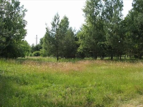 Działka rekreacyjna na sprzedaż Puste Łąki 1 000m2 Foto 5