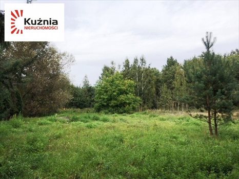 Działka budowlana na sprzedaż Siestrzeń, Łąkowa 2 064m2 Foto 4
