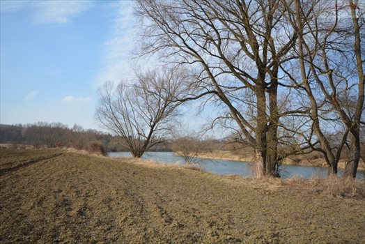 Działka rekreacyjna na sprzedaż Wara 2 955m2 Foto 4