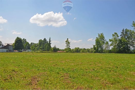 Lokal użytkowy na wynajem Nowy Targ 2 500m2 Foto 4