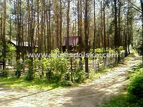 Działka budowlana na sprzedaż Łosie 1 912m2 Foto 4