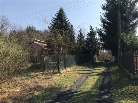 Działka siedliskowa na sprzedaż Stanisławów, Stanisławów 57 4 800m2 Foto 4