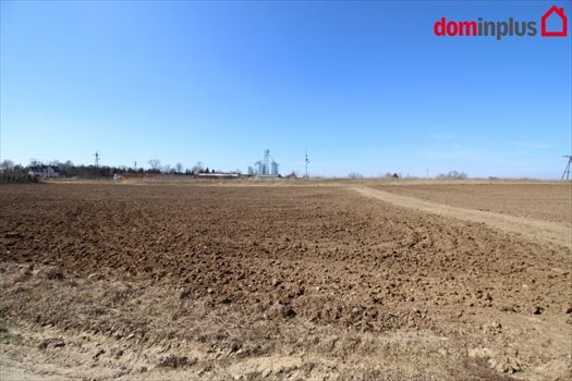 Działka inna na sprzedaż Lulkowo, Łysomice 3 000m2 Foto 4