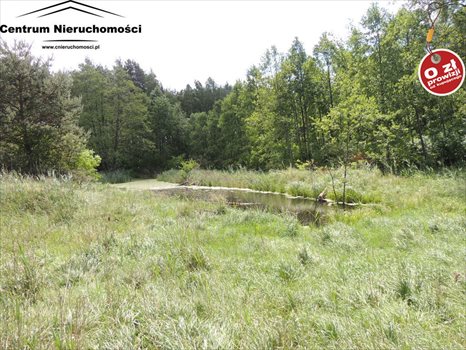 Działka siedliskowa na sprzedaż Krzyż 24 900m2 Foto 10